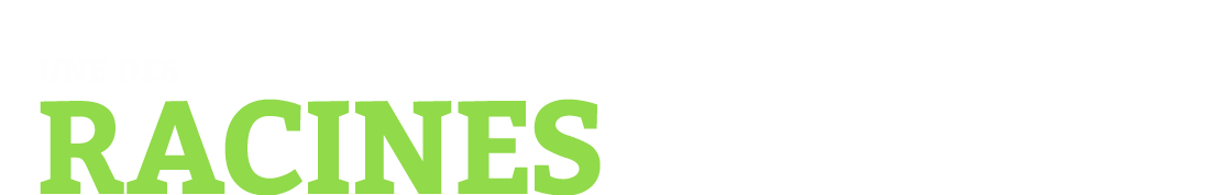 UNE DES RACINES DU PROBLEME