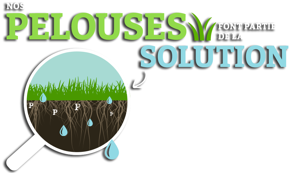 nos pelouses font parti de la solution